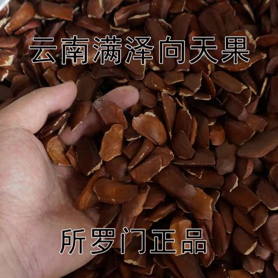 云南满泽向天果哪里卖，昆明向天果哪里买，所罗门群岛向天果批发，向天果货到付款