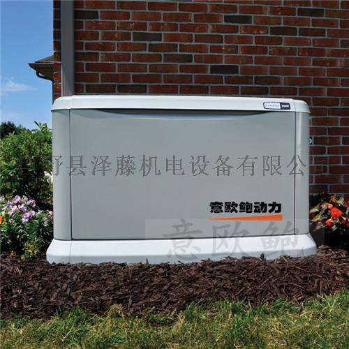 50kw汽油发电机价格