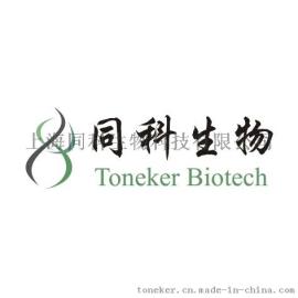EMSA电泳/凝胶迁移技术服务, 同科生物