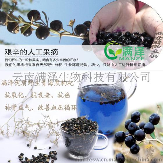 云南满泽牌正宗青海优质野生黑枸杞的功效抗氧化抗衰老抗癌改善糖尿病生津润肺补肾益肝，花青素之王黑枸杞供应批发