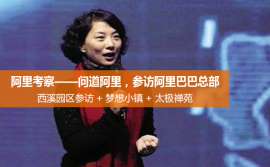 阿里人的故事 从前台小妹到阿里副总裁