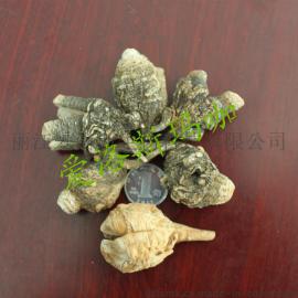 正品爱洛斯玛咖黑果批发