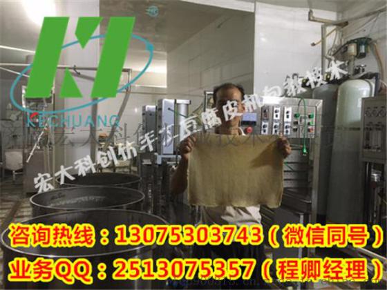 多功能豆制品机械，仿手工豆腐皮机制作，宏大豆腐皮机价位自产自销免费教技术