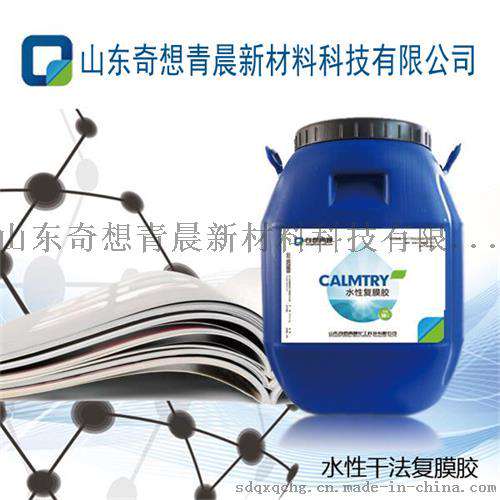 山东奇想青晨新材料科技有限公司是在山东郓城华宇粘合剂厂的基础上改制组建，集科研、开发、生产、销售于一体，以生产水性乳液系列粘合剂为主体的大型生产基地。本公司的水
