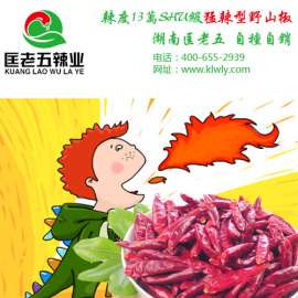 干辣椒制品加工厂家 匡老五辣业 给你一份放心