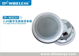 2.4G无线数字吸顶音箱 (SOYO-WSC01)