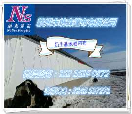 牛场卷帘定做 牛场窗帘实图