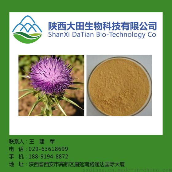 水飞蓟提取物 水飞蓟素80% 食品保健品