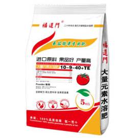 用福进门水溶肥番茄长势好果型好亮度好